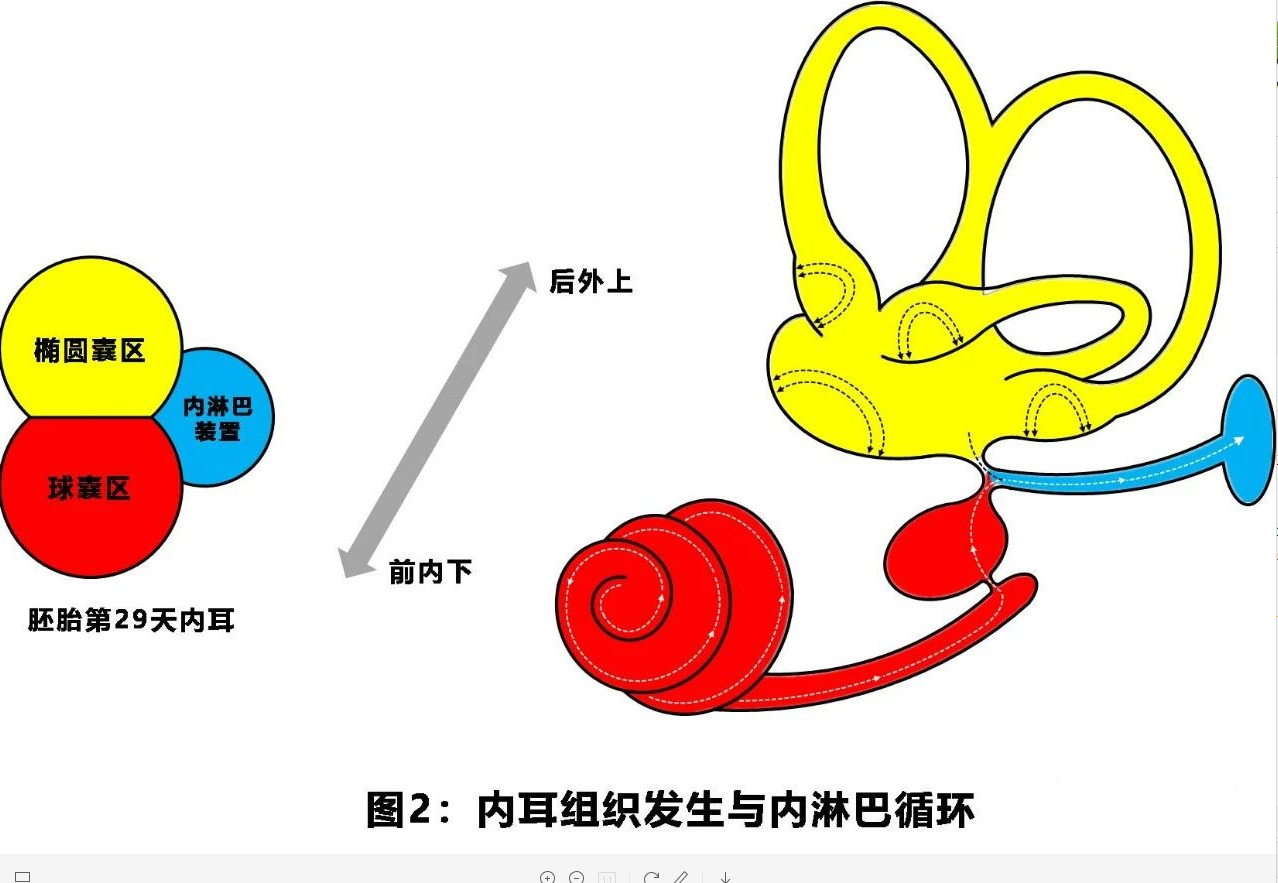 重庆眩晕医院