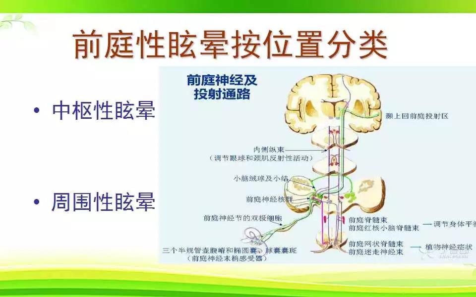 重庆眩晕医院