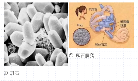 重庆耳鼻喉医院