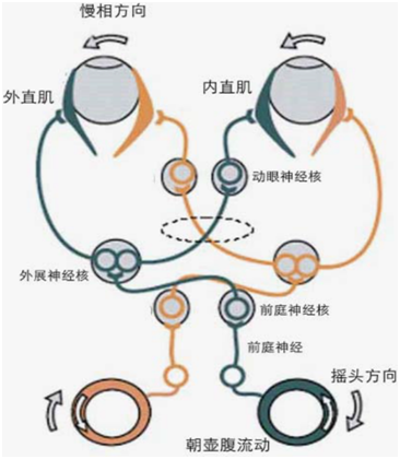 重庆治疗眩晕医院